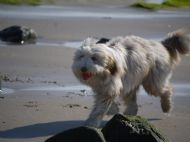 24.04.2011 Molly